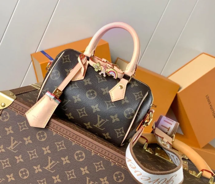 Louis Vuitton Speedy Bag - Image 5